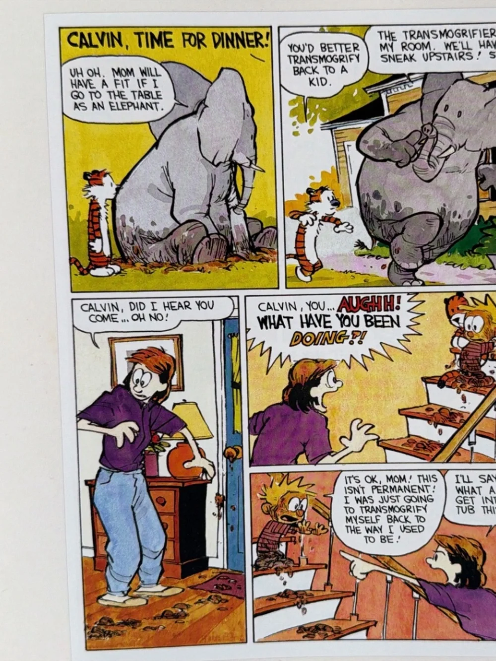 The Complete Calvin And Hobbes Paperback Collection Box Set by Bill Watterson!